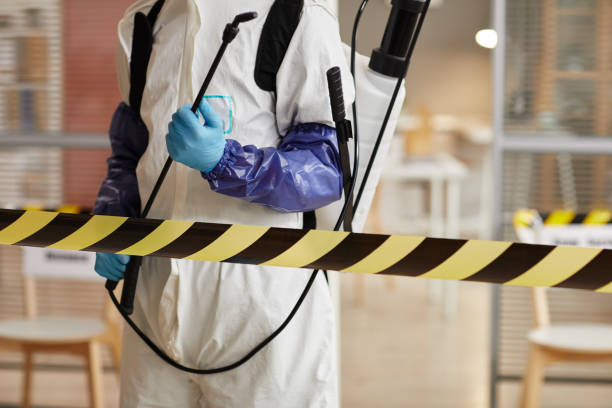 Professional Hoarding Cleanup technician working in Menifee, CA